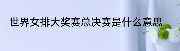 世界女排大奖赛总决赛是什么意思
