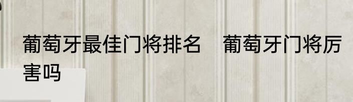 葡萄牙最佳门将排名　葡萄牙门将厉害吗