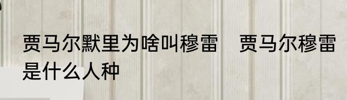 贾马尔默里为啥叫穆雷　贾马尔穆雷是什么人种