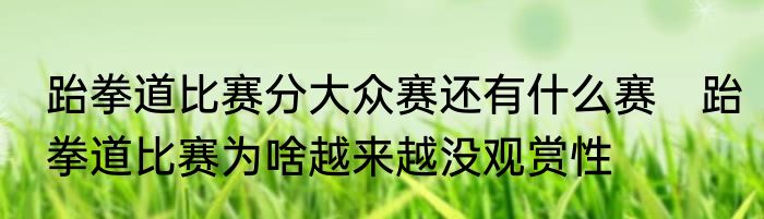 跆拳道比赛分大众赛还有什么赛　跆拳道比赛为啥越来越没观赏性