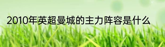 2010年英超曼城的主力阵容是什么