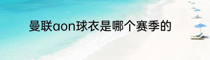曼联aon球衣是哪个赛季的