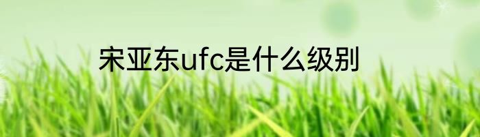 宋亚东ufc是什么级别