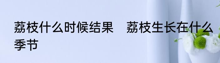 荔枝什么时候结果　荔枝生长在什么季节