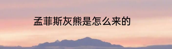 孟菲斯灰熊是怎么来的