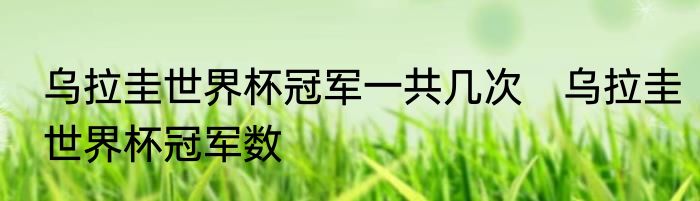 乌拉圭世界杯冠军一共几次　乌拉圭世界杯冠军数