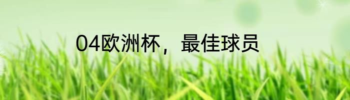 04欧洲杯，最佳球员