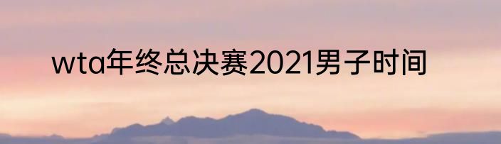 wta年终总决赛2021男子时间