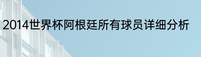 2014世界杯阿根廷所有球员详细分析