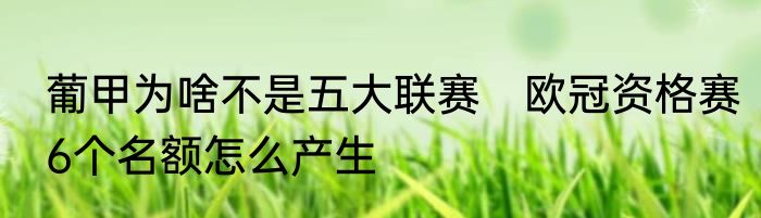 葡甲为啥不是五大联赛　欧冠资格赛6个名额怎么产生