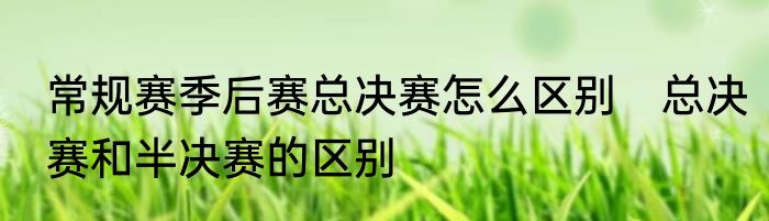 常规赛季后赛总决赛怎么区别　总决赛和半决赛的区别