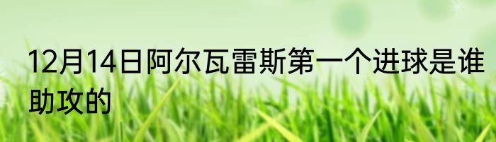 12月14日阿尔瓦雷斯第一个进球是谁助攻的
