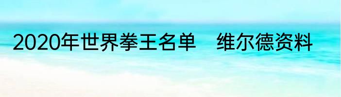2020年世界拳王名单　维尔德资料