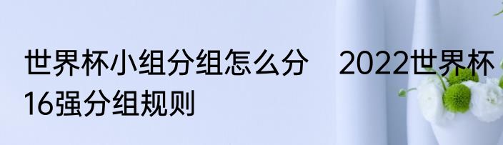 世界杯小组分组怎么分　2022世界杯16强分组规则