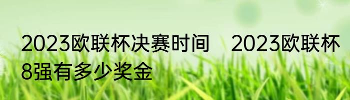 2023欧联杯决赛时间　2023欧联杯8强有多少奖金