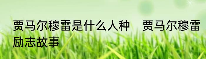 贾马尔穆雷是什么人种　贾马尔穆雷励志故事