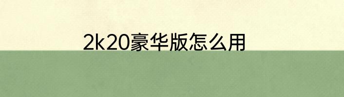 2k20豪华版怎么用