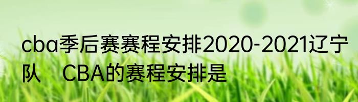 cba季后赛赛程安排2020-2021辽宁队 CBA的赛程安排是