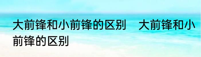 大前锋和小前锋的区别　大前锋和小前锋的区别
