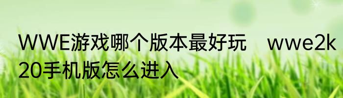 WWE游戏哪个版本最好玩　wwe2k20手机版怎么进入