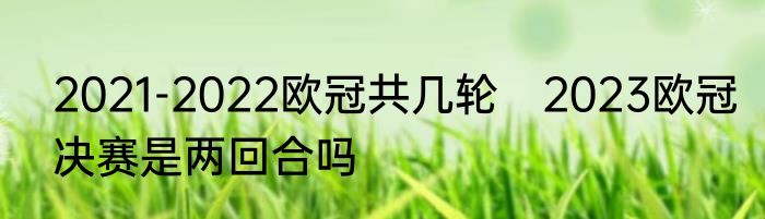 2021-2022欧冠共几轮　2023欧冠决赛是两回合吗