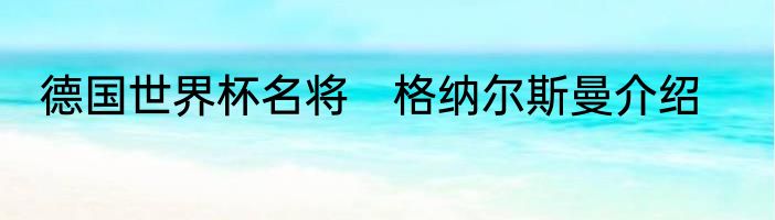 德国世界杯名将　格纳尔斯曼介绍
