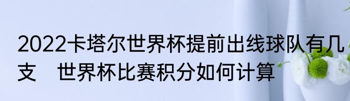 2022卡塔尔世界杯提前出线球队有几支　世界杯比赛积分如何计算