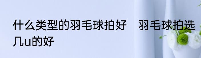 什么类型的羽毛球拍好　羽毛球拍选几u的好