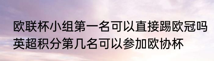 欧联杯小组第一名可以直接踢欧冠吗　英超积分第几名可以参加欧协杯