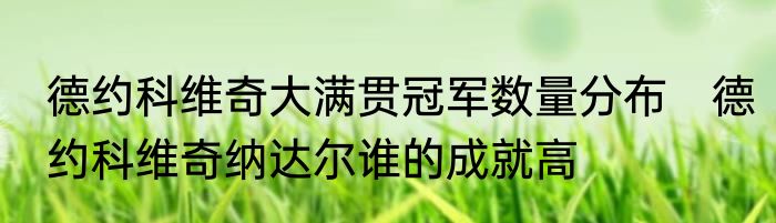 德约科维奇大满贯冠军数量分布　德约科维奇纳达尔谁的成就高