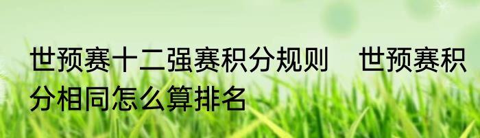 世预赛十二强赛积分规则　世预赛积分相同怎么算排名
