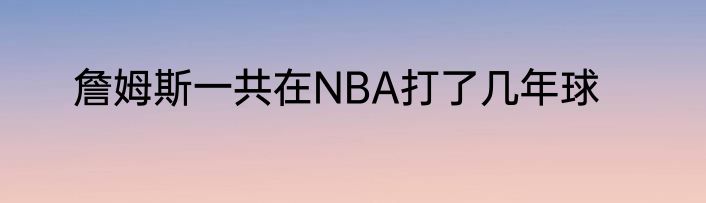 詹姆斯一共在NBA打了几年球