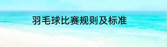 羽毛球比赛规则及标准