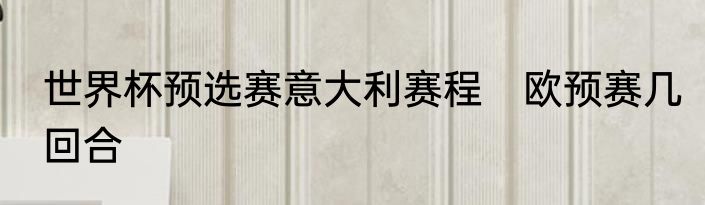 世界杯预选赛意大利赛程　欧预赛几回合