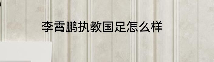 李霄鹏执教国足怎么样