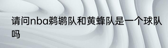 请问nba鹈鹕队和黄蜂队是一个球队吗