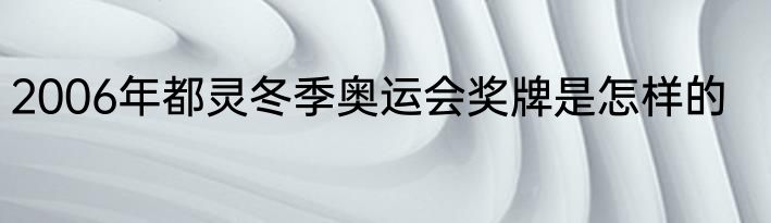 2006年都灵冬季奥运会奖牌是怎样的