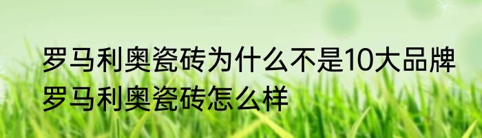 罗马利奥瓷砖为什么不是10大品牌　罗马利奥瓷砖怎么样