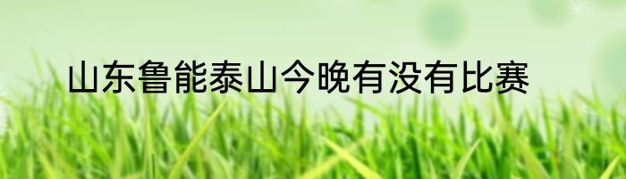 山东鲁能泰山今晚有没有比赛