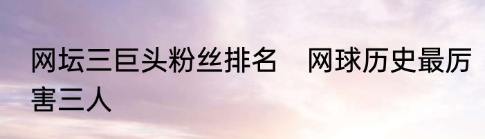 网坛三巨头粉丝排名　网球历史最厉害三人