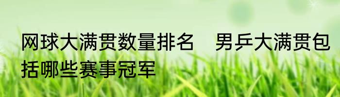 网球大满贯数量排名　男乒大满贯包括哪些赛事冠军