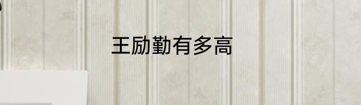 王励勤有多高