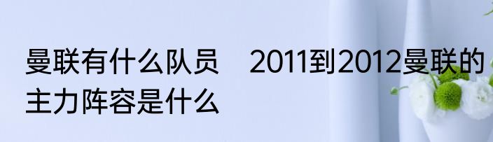 曼联有什么队员　2011到2012曼联的主力阵容是什么
