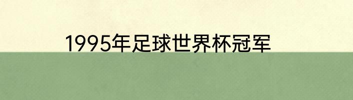1995年足球世界杯冠军