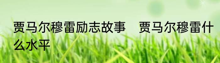 贾马尔穆雷励志故事　贾马尔穆雷什么水平