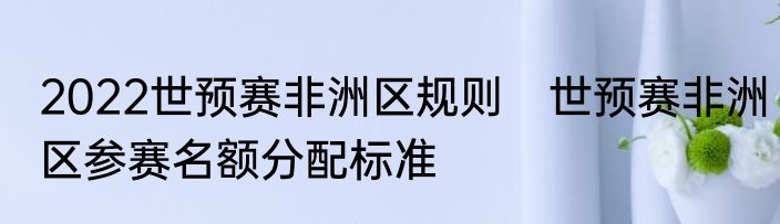 2022世预赛非洲区规则　世预赛非洲区参赛名额分配标准