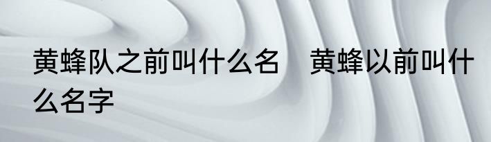 黄蜂队之前叫什么名　黄蜂以前叫什么名字