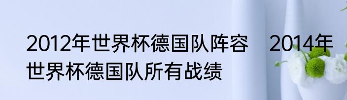2012年世界杯德国队阵容　2014年世界杯德国队所有战绩