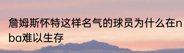 詹姆斯怀特这样名气的球员为什么在nba难以生存