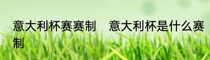 意大利杯赛赛制　意大利杯是什么赛制